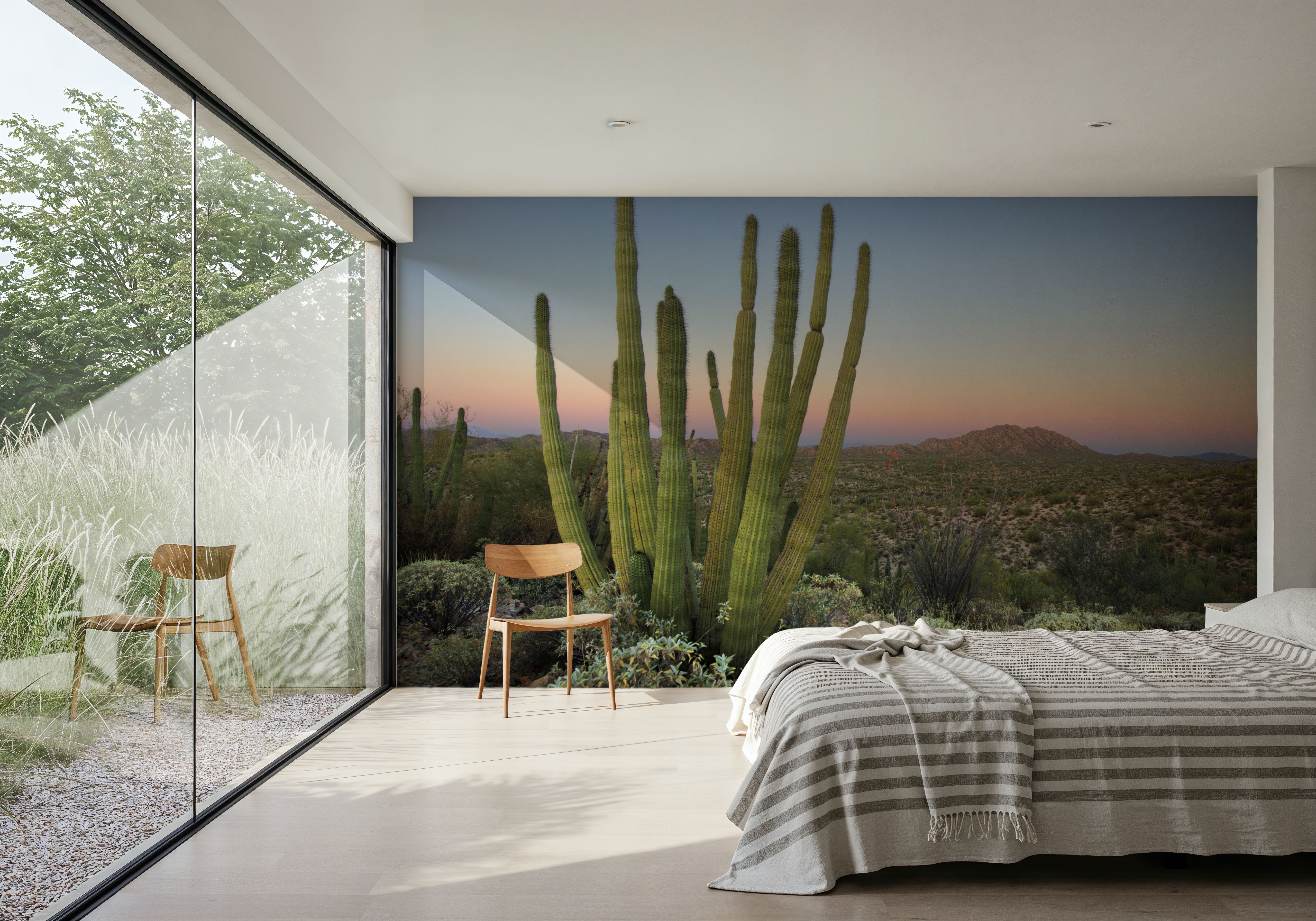 Organ Pipe Cactus National Monument