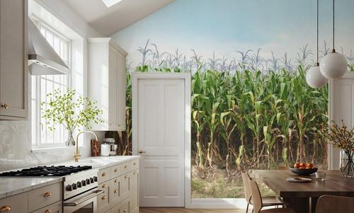 Corn Field