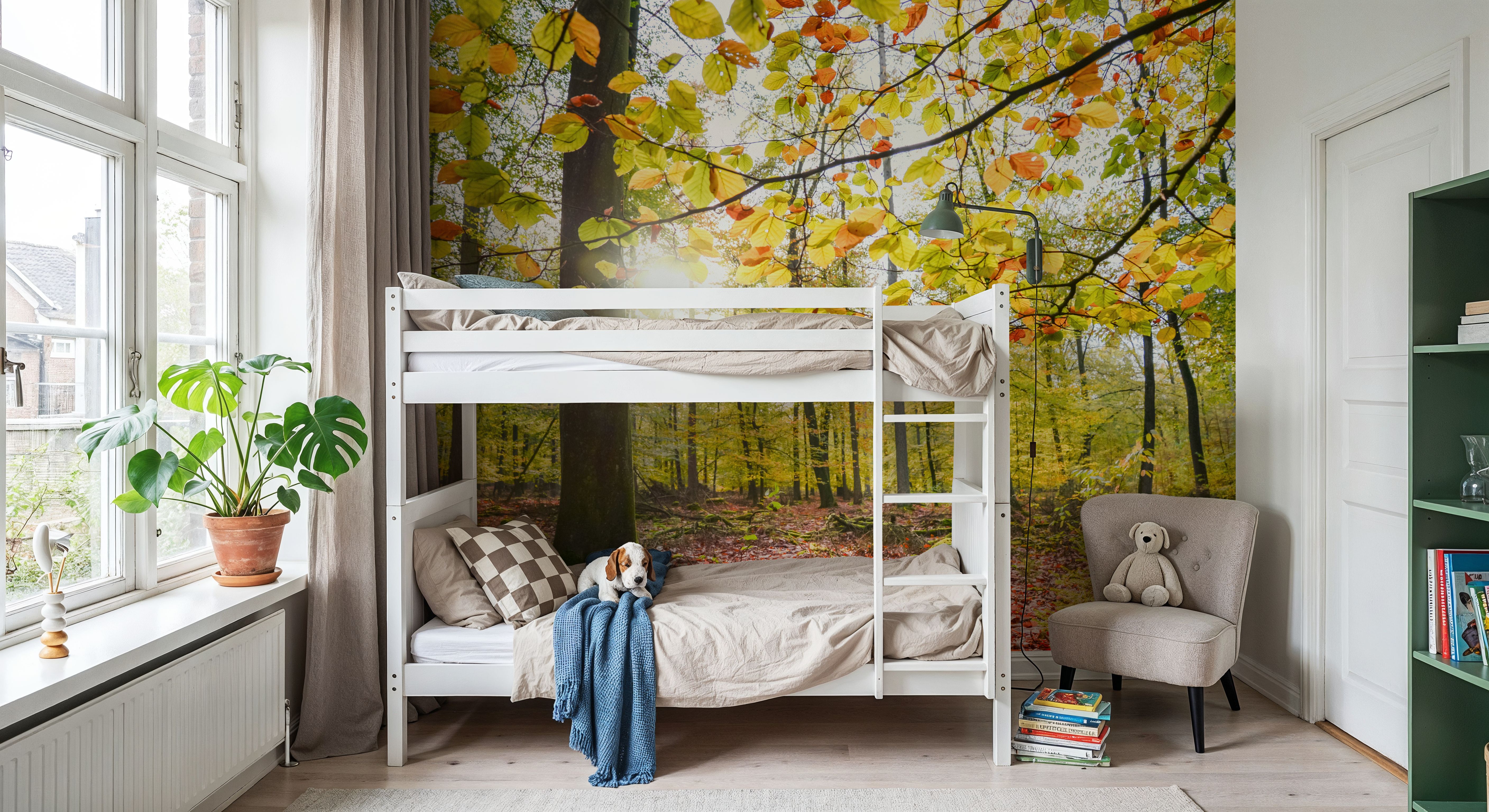 Autumn Sun, Wallpaper