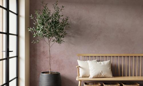 Subtle Plaster Wall, Soft Pink
