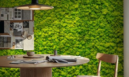 Moss Mat