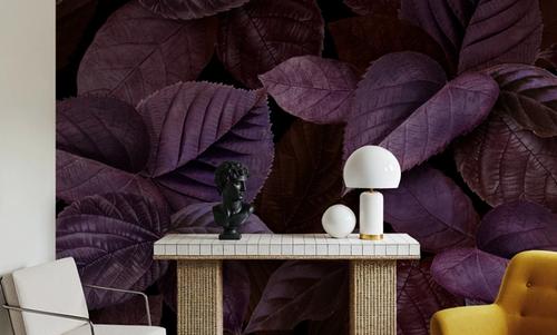 Purple Leaves