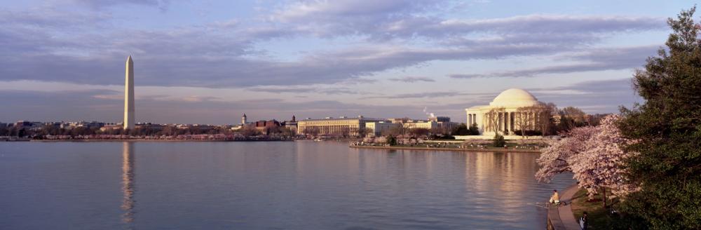 Cherry Blossom Monuments