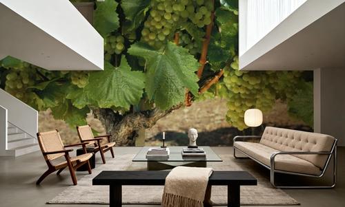 Napa Chardonnay Grapes