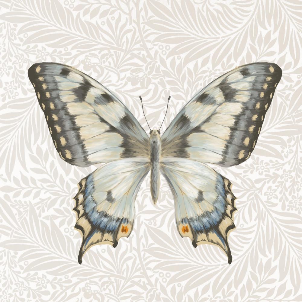 Beetles and Butterflies I