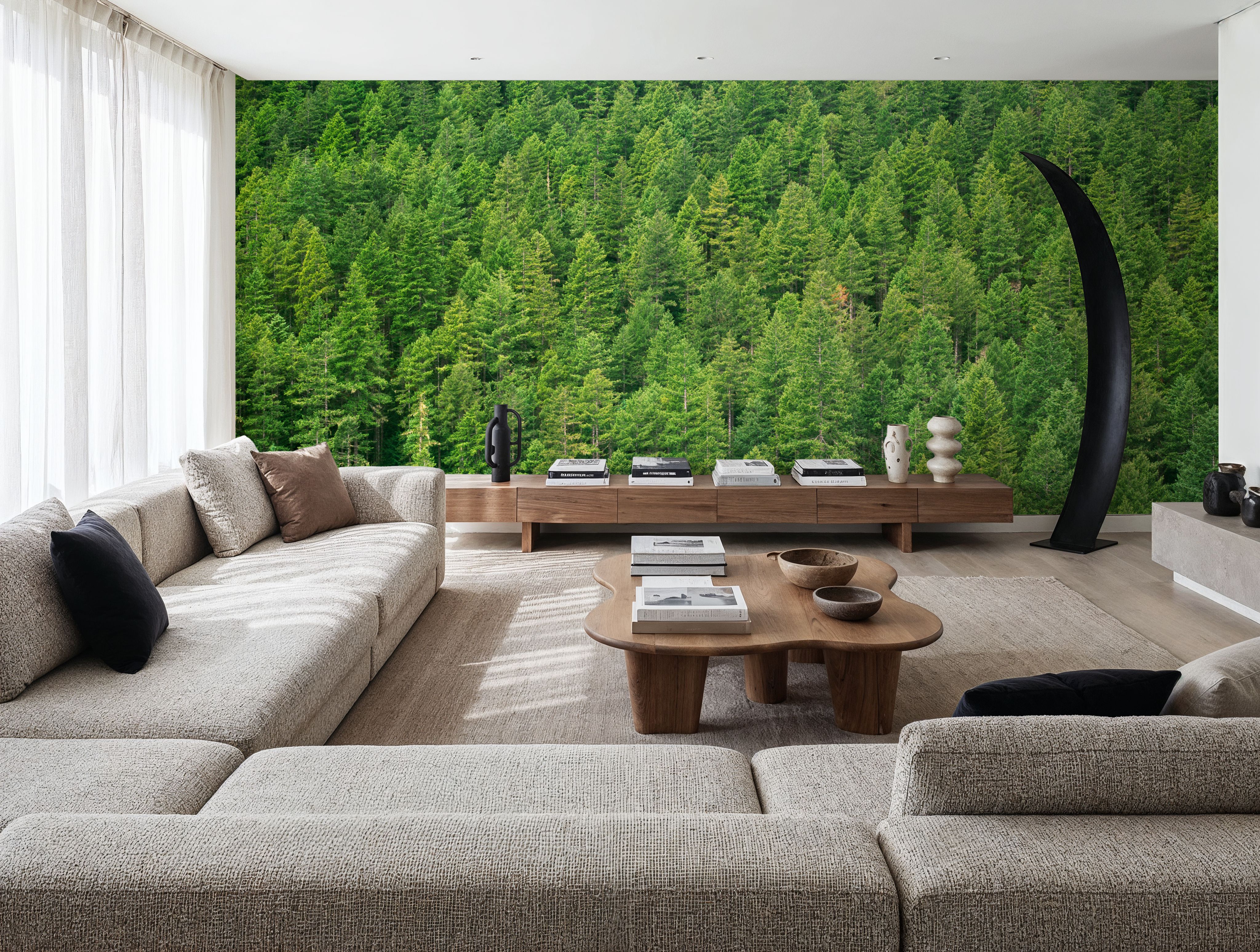 Evergreen Forest in Washintong State