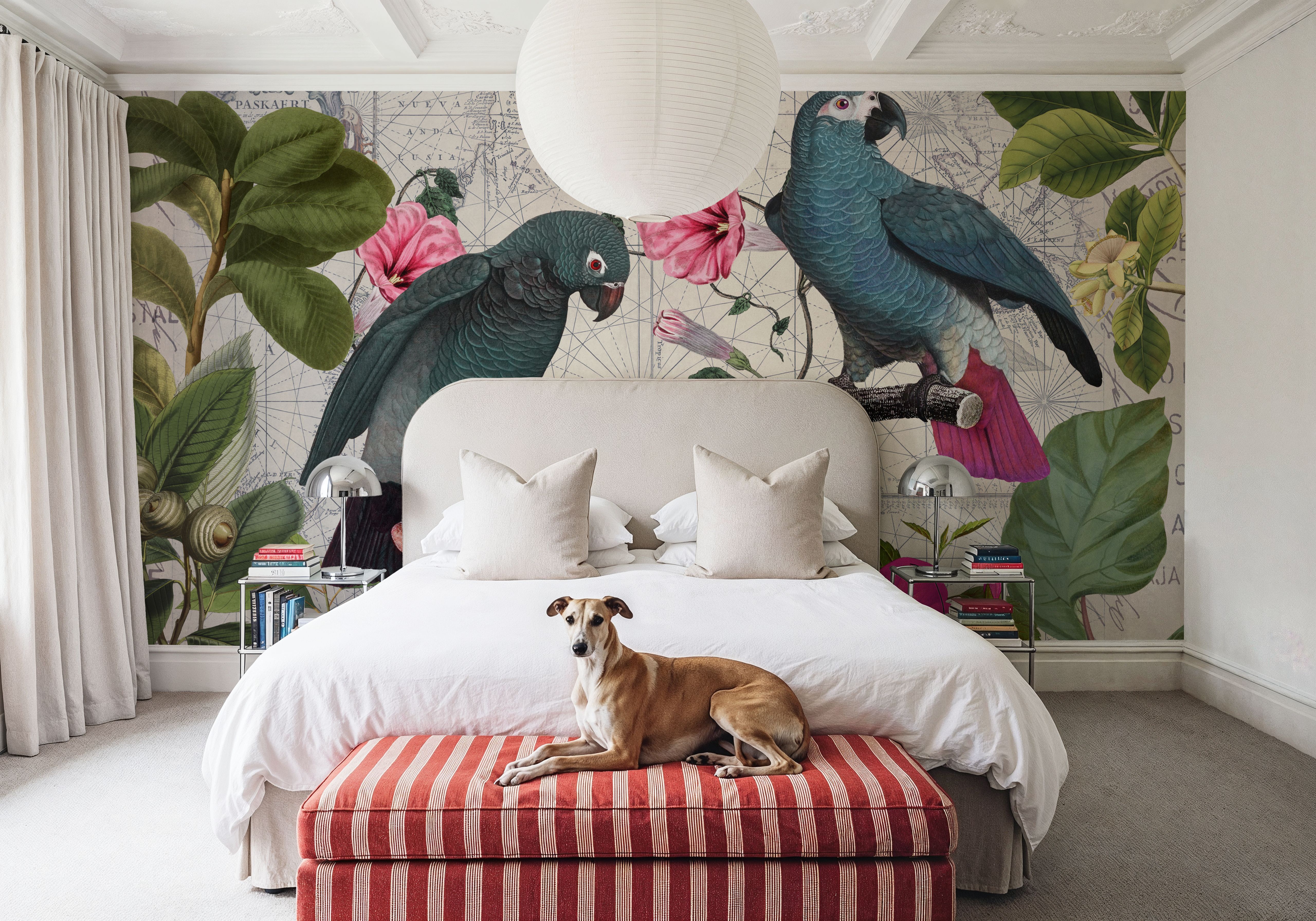 Parrots Nostalgic Journey