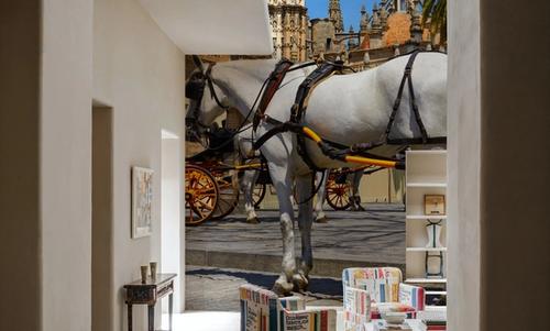 Seville Horse Carriages