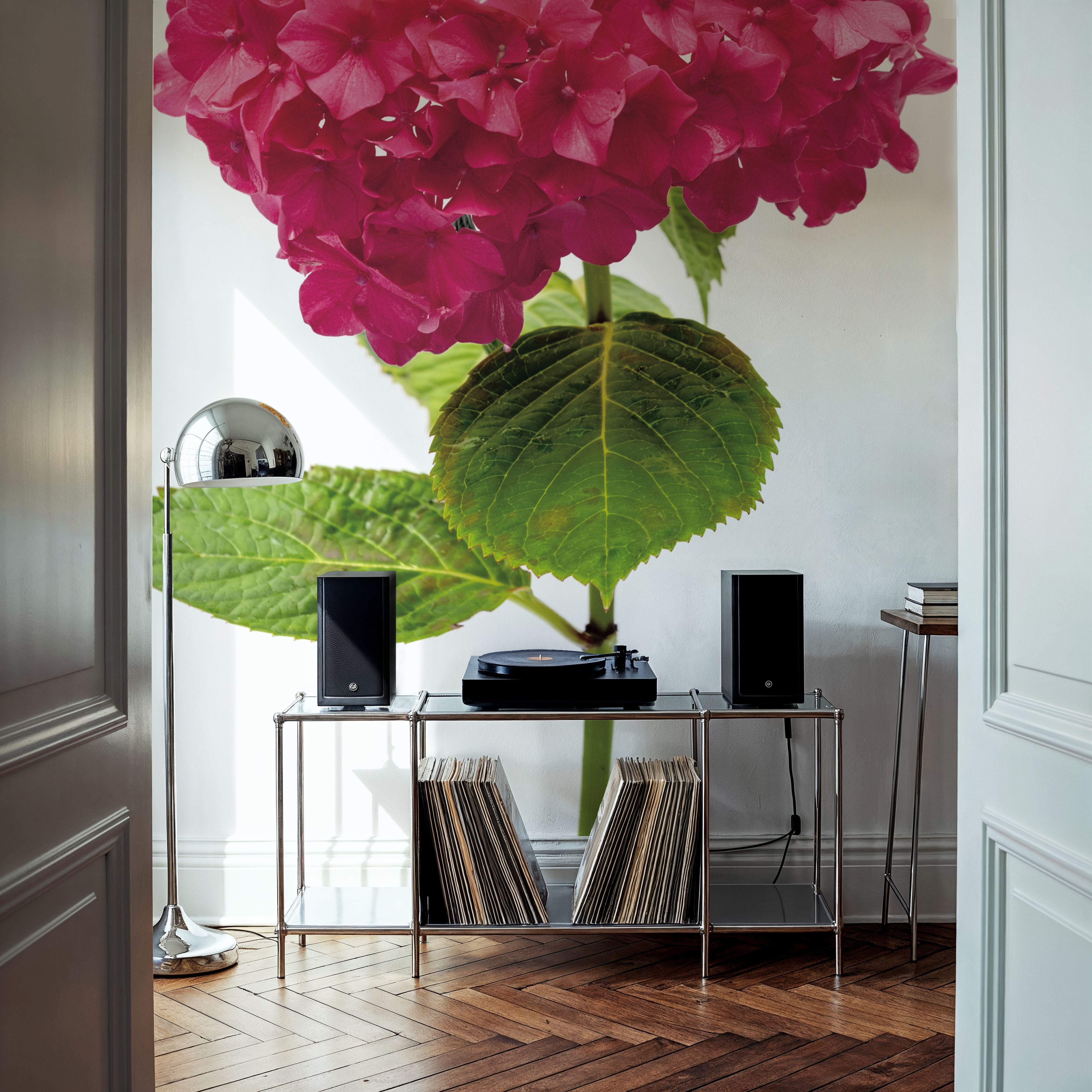 Providence Hydrangea II