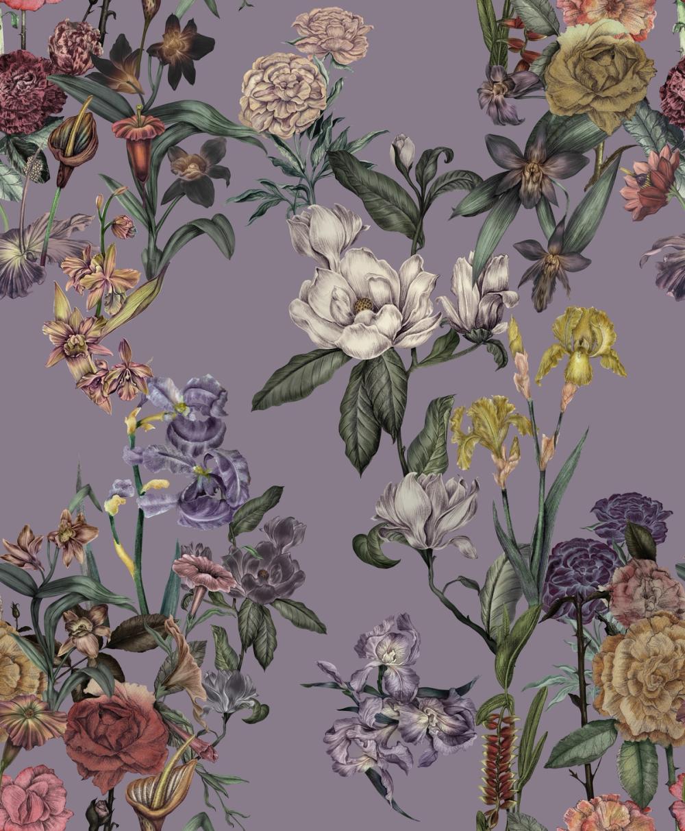 Floral Gaze, Lavender