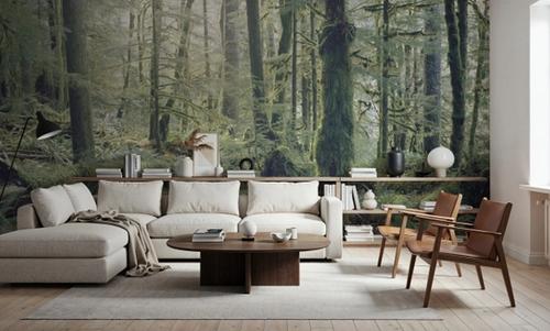 Moss Everywhere