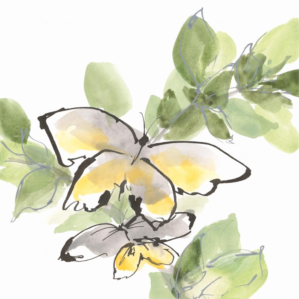 Social Butterflies III