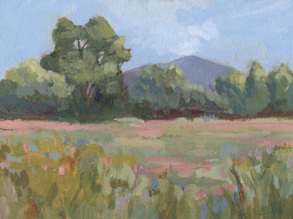 Pink and Green Meadow