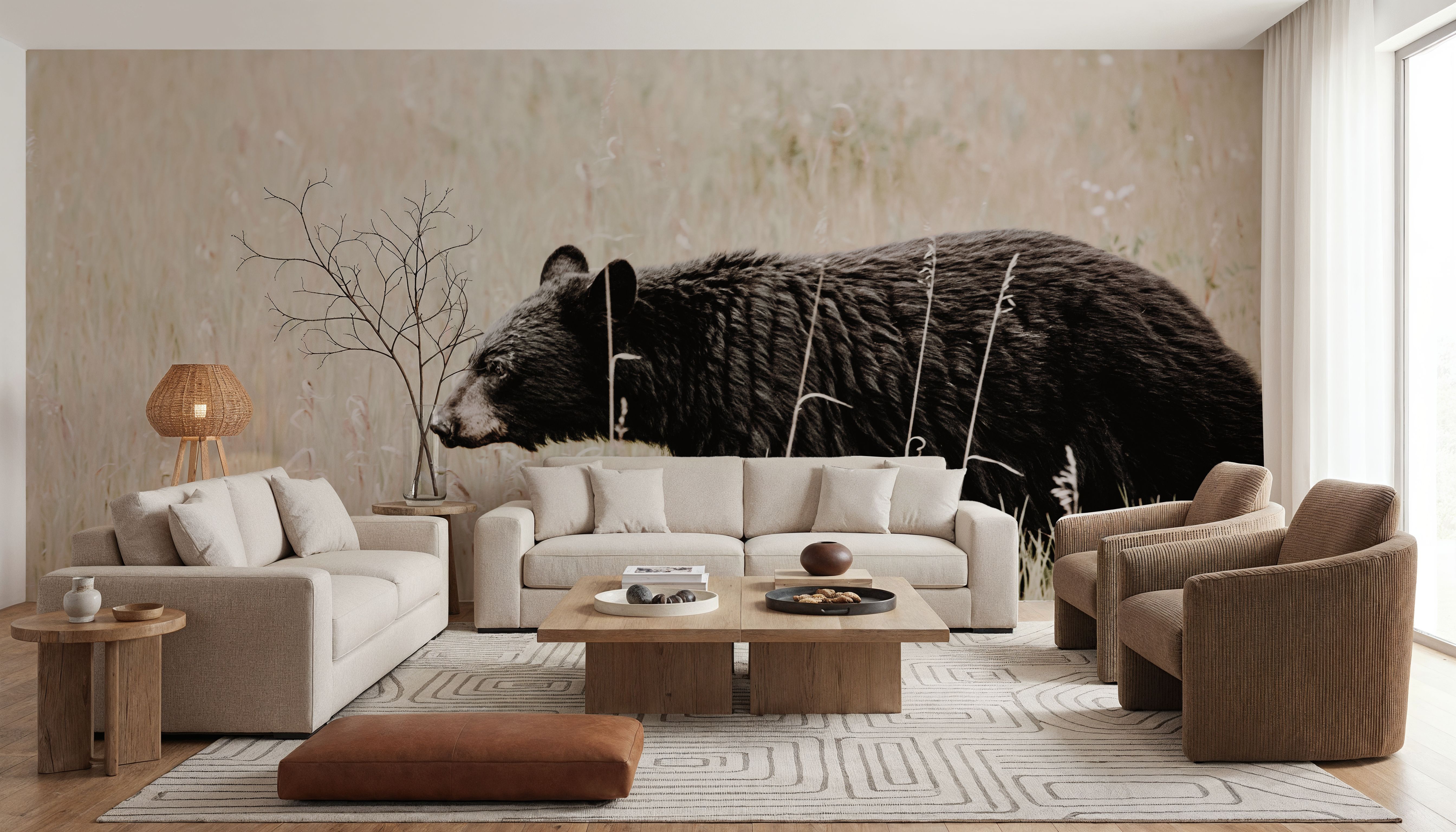 Black Bear in British Columbia