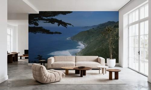 Coastal Overlook