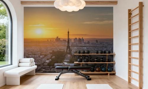 Paris Sunset
