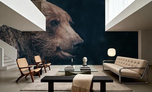 Grizzly Bear Portrait