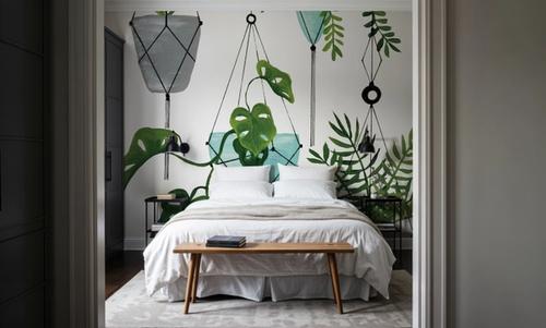My Boho Plants II