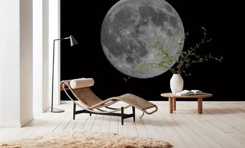 Spring Moon Rising
