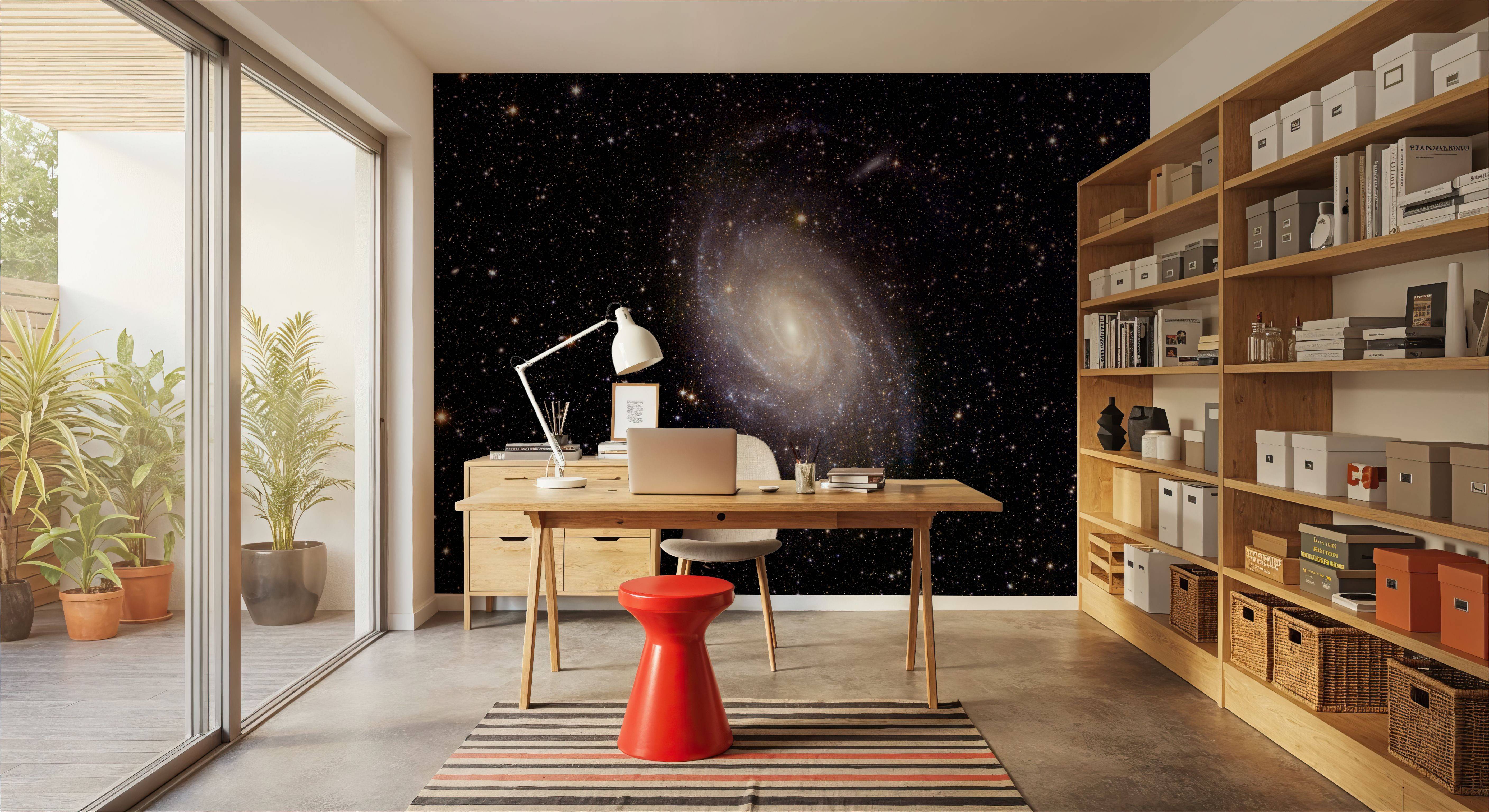 Spiral Galaxy NGC 6744