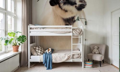 Two Little Goats I