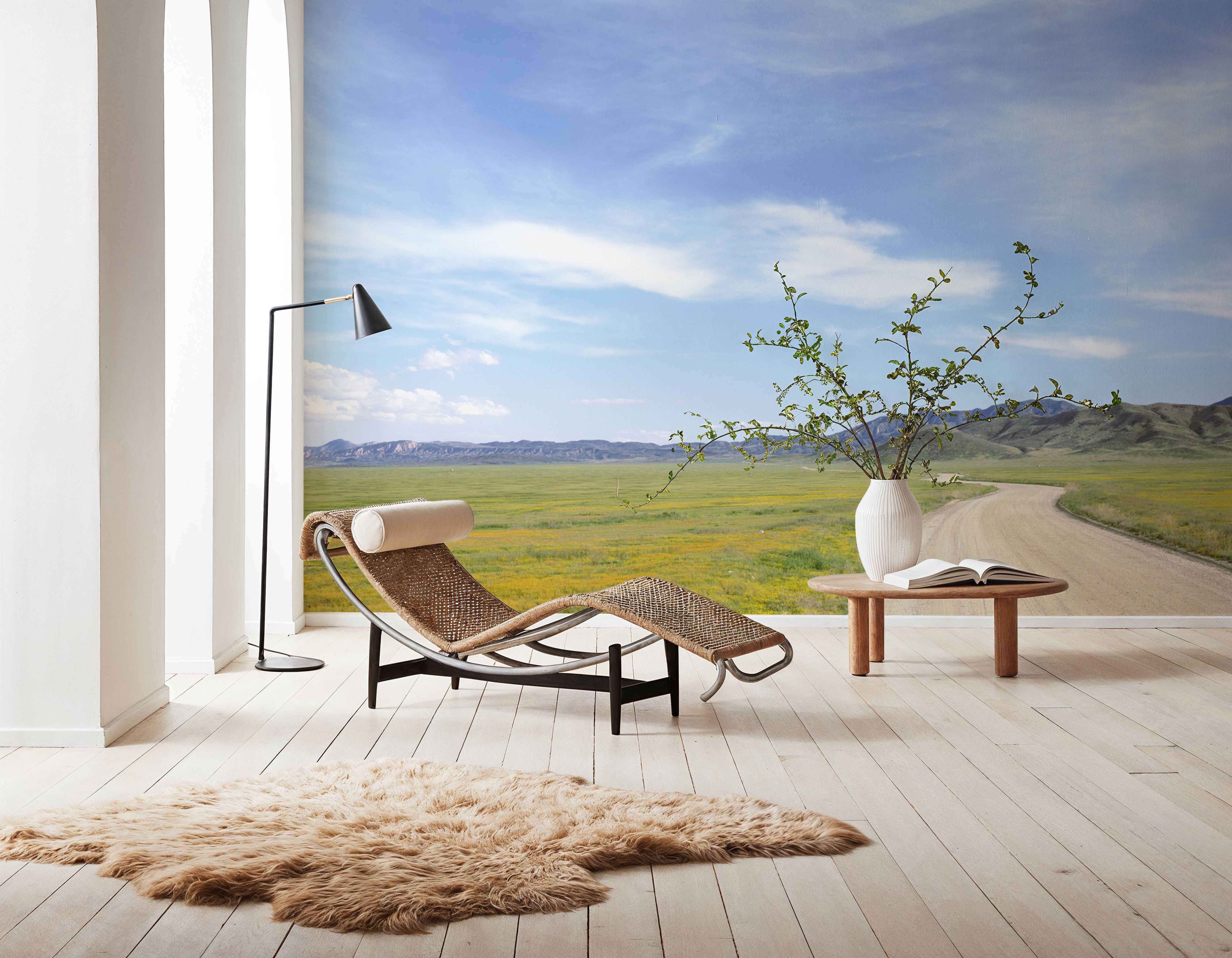 Country Road Horizon