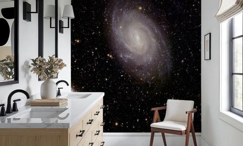 Spiral Galaxy NGC 6744