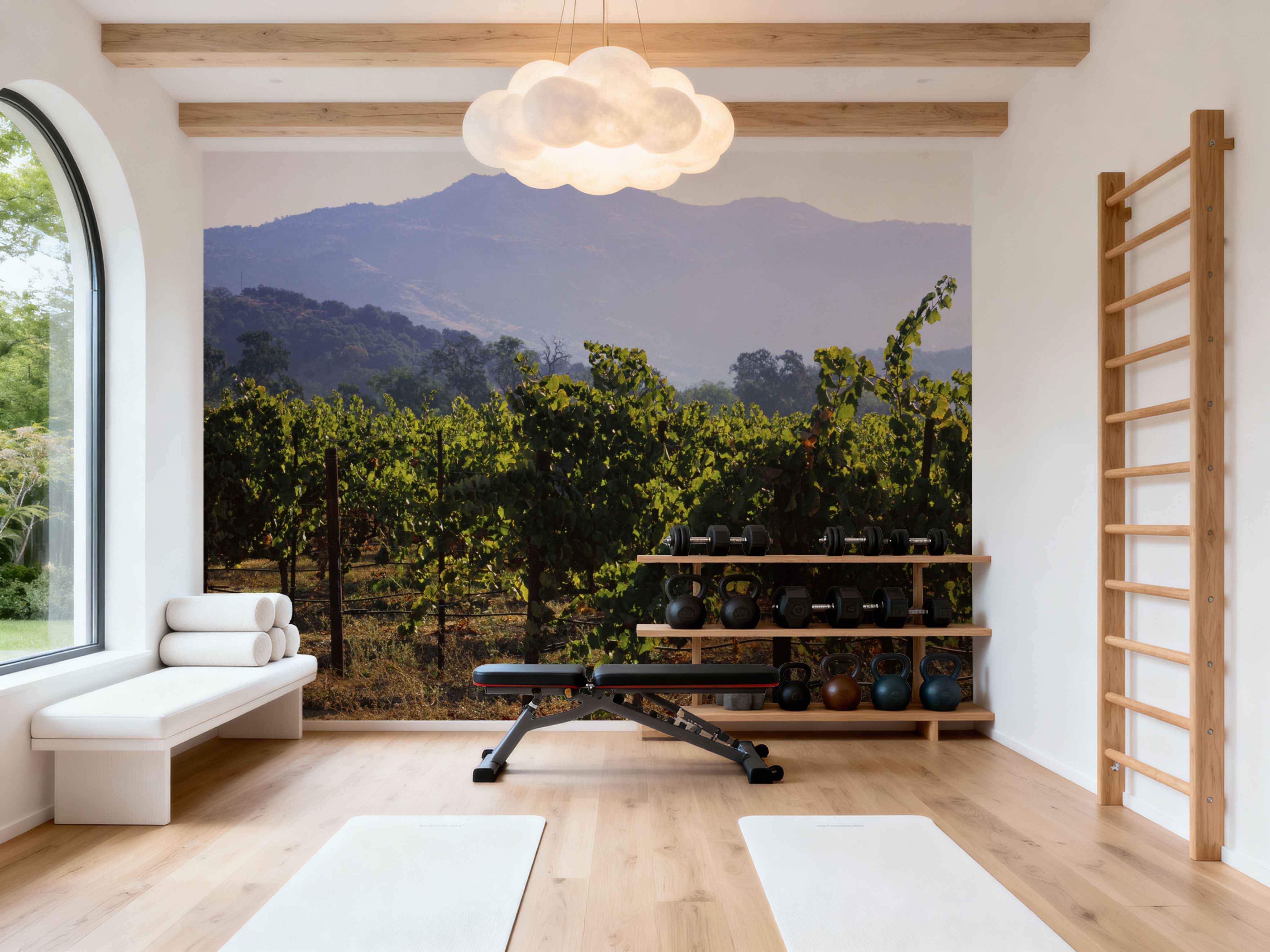 Napa Grape Vines