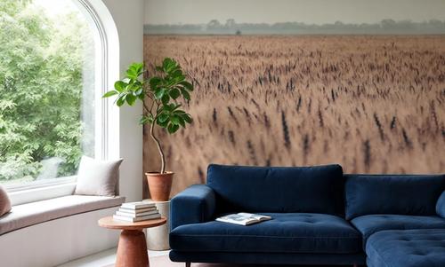 Wheat in Summer