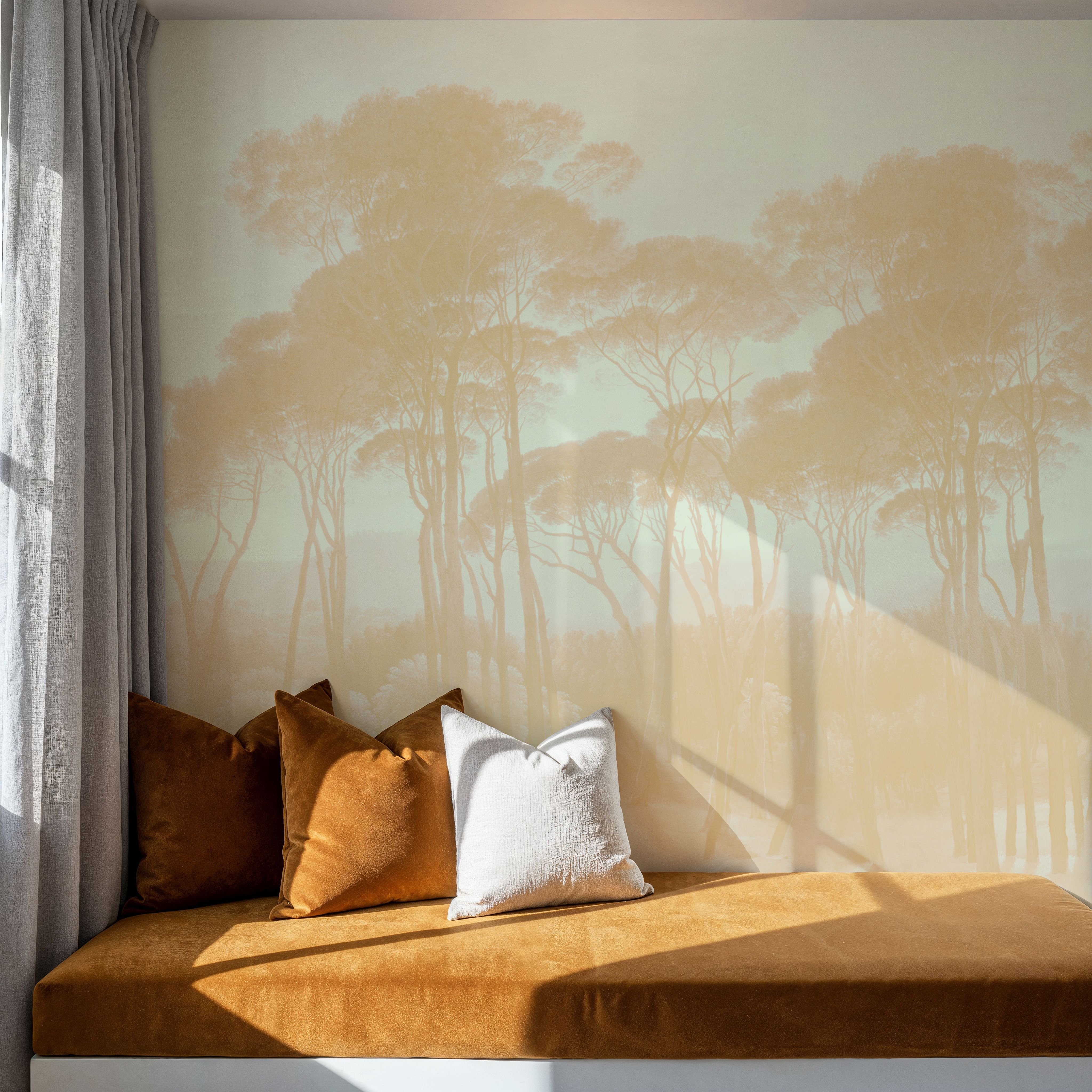 Mediterranean Pine Landscape, Apricot
