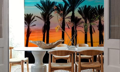 Miami Palms
