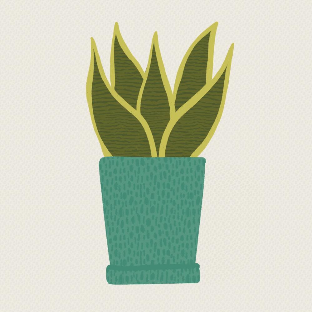 Potted