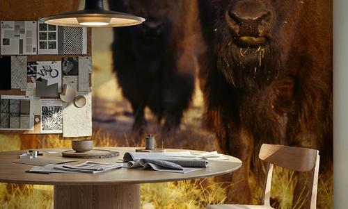 Prairie Bison