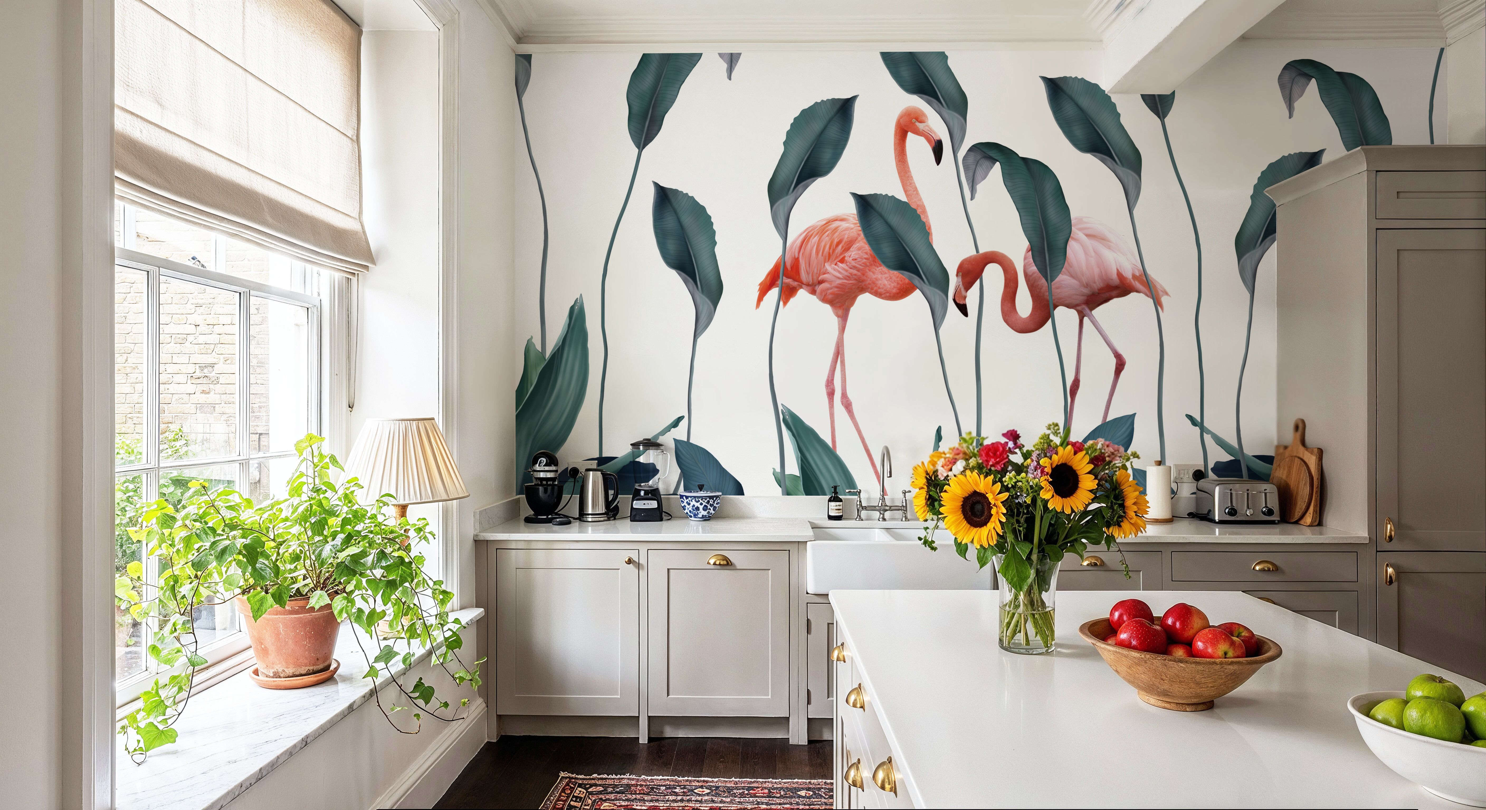 Shy Flamingos