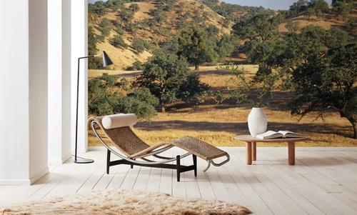 Golden Oak Hills