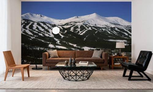 Alpine Ski Haven