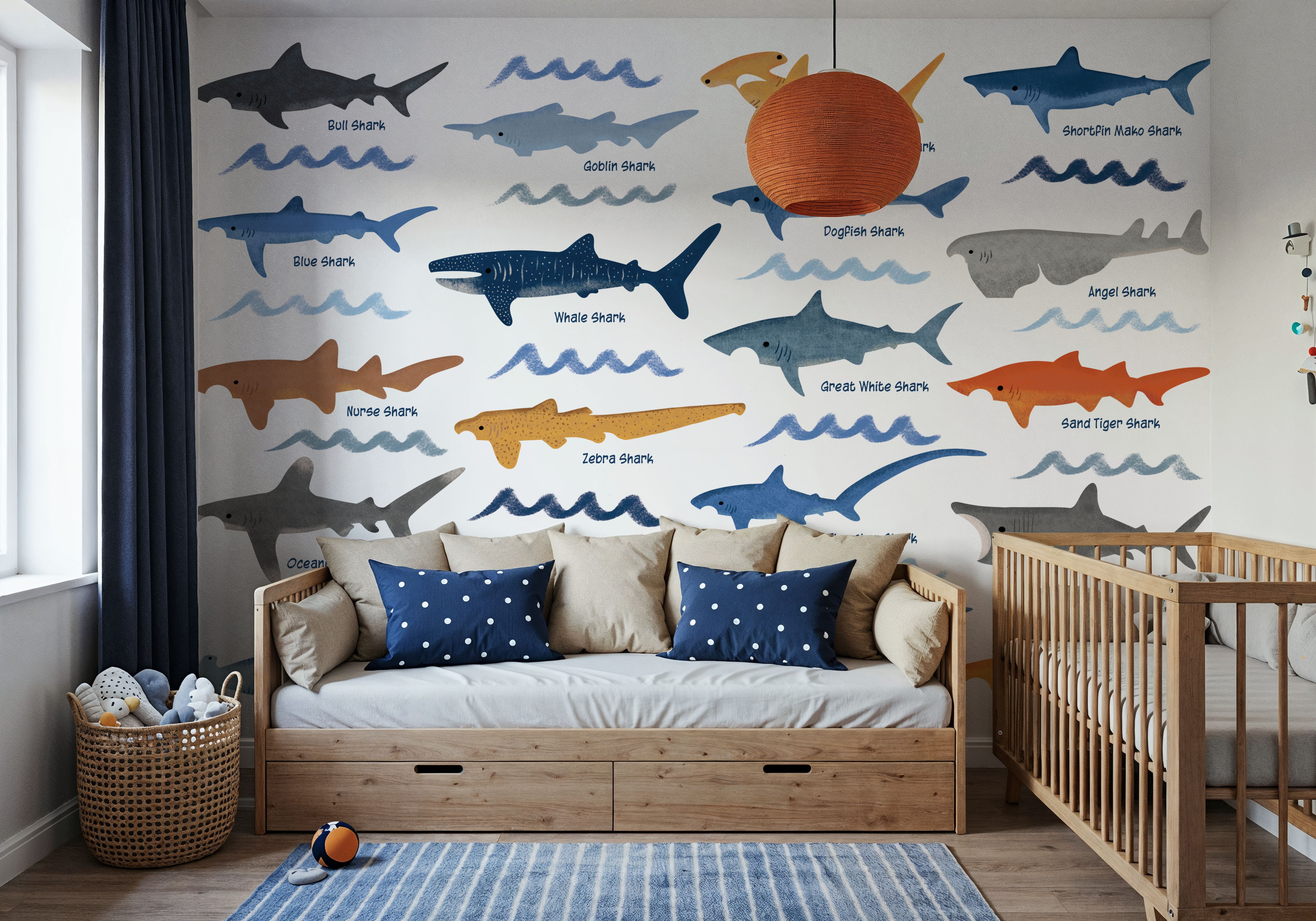 Sharks of the World Chart