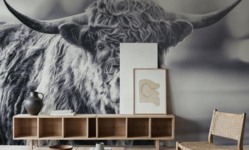 Highland Cow Pastures II