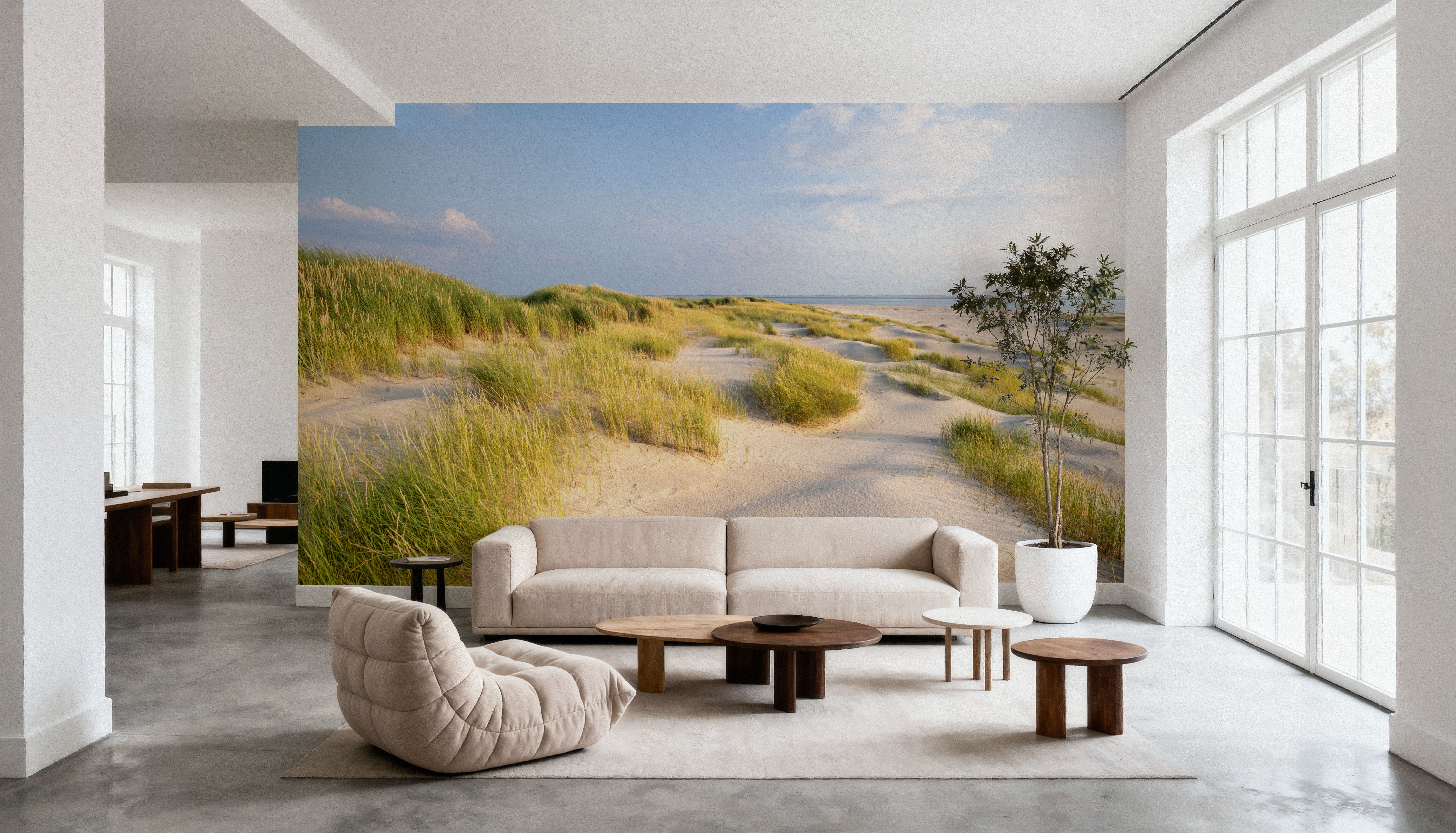 Beach Grass Dunes