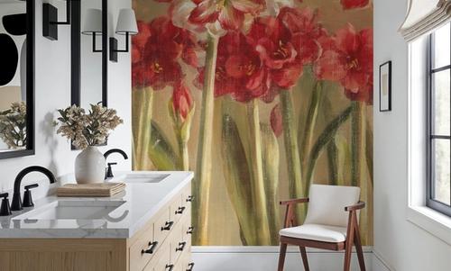 Winter Amaryllis