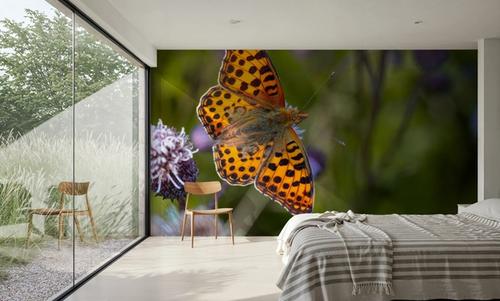 Butterfly Wings