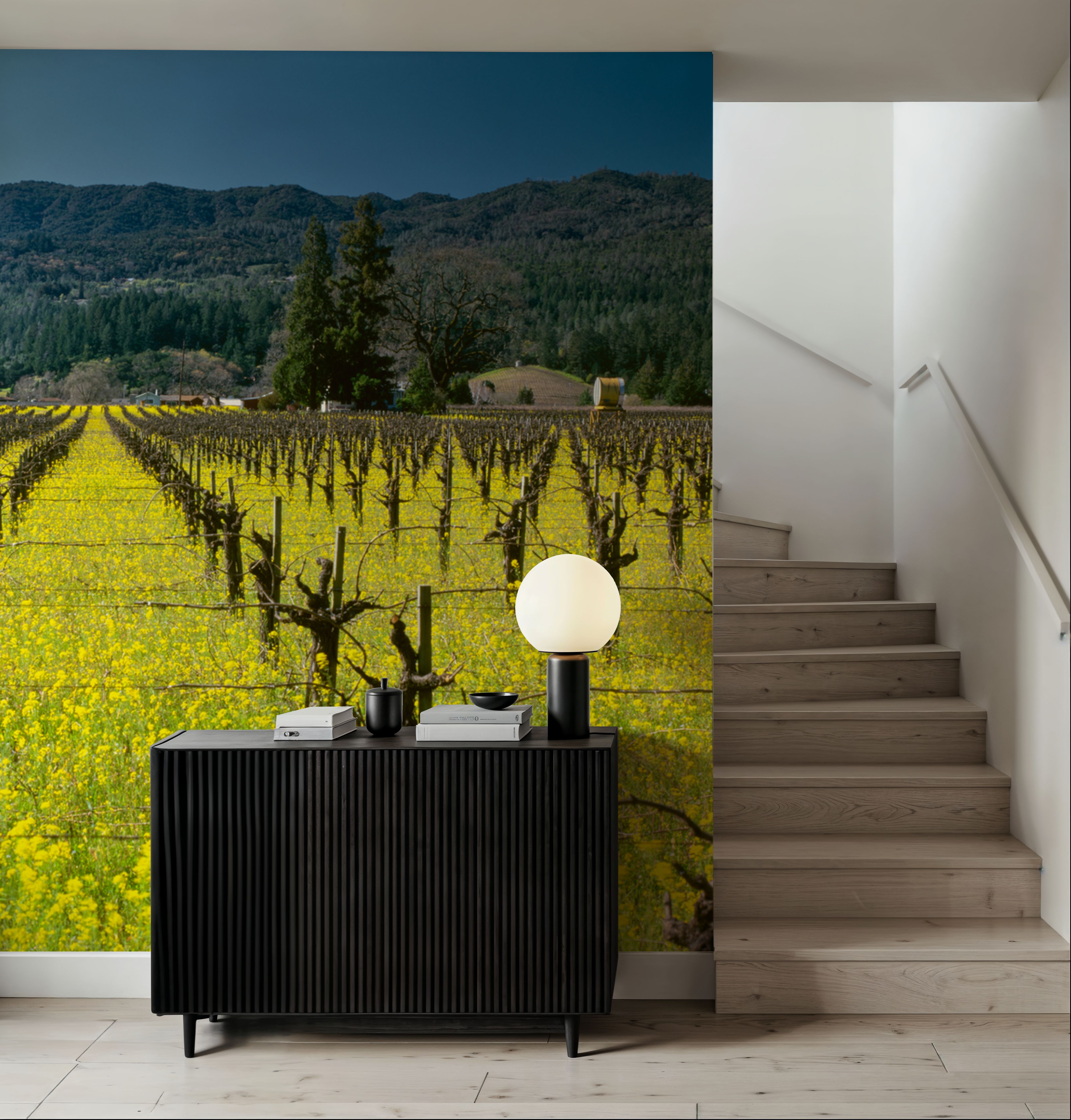 Vineyard Symmetry