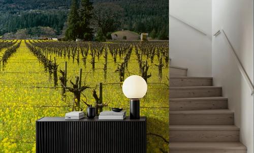 Vineyard Symmetry