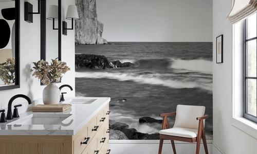 Coastal Guardian
