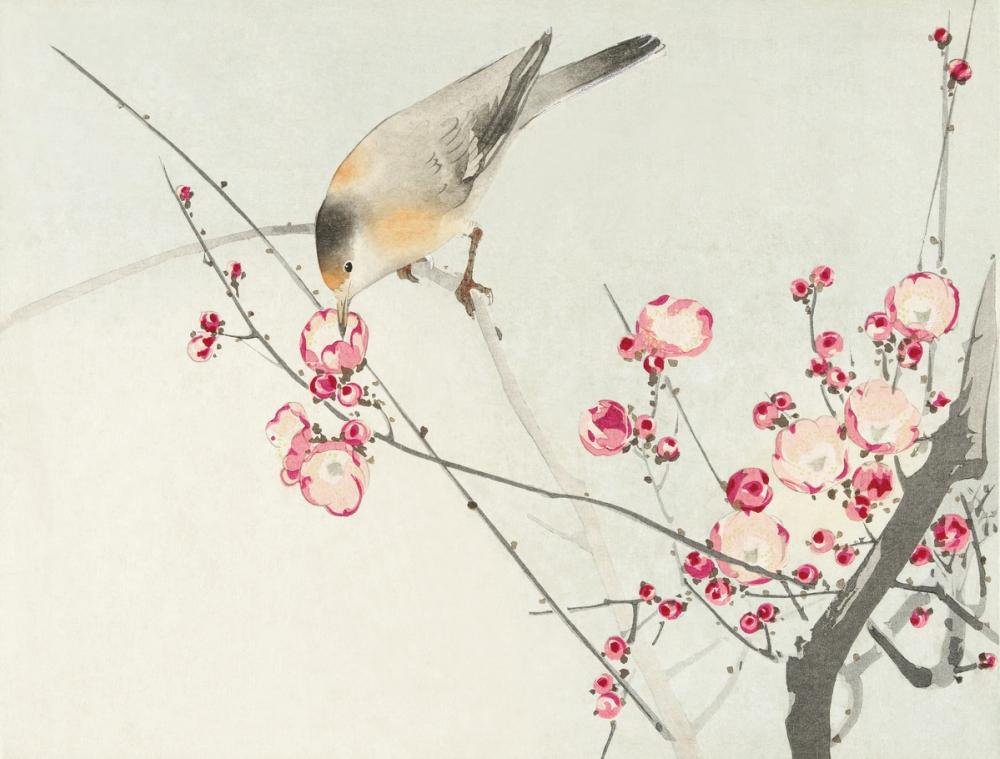 Songbird on Blossom Branch