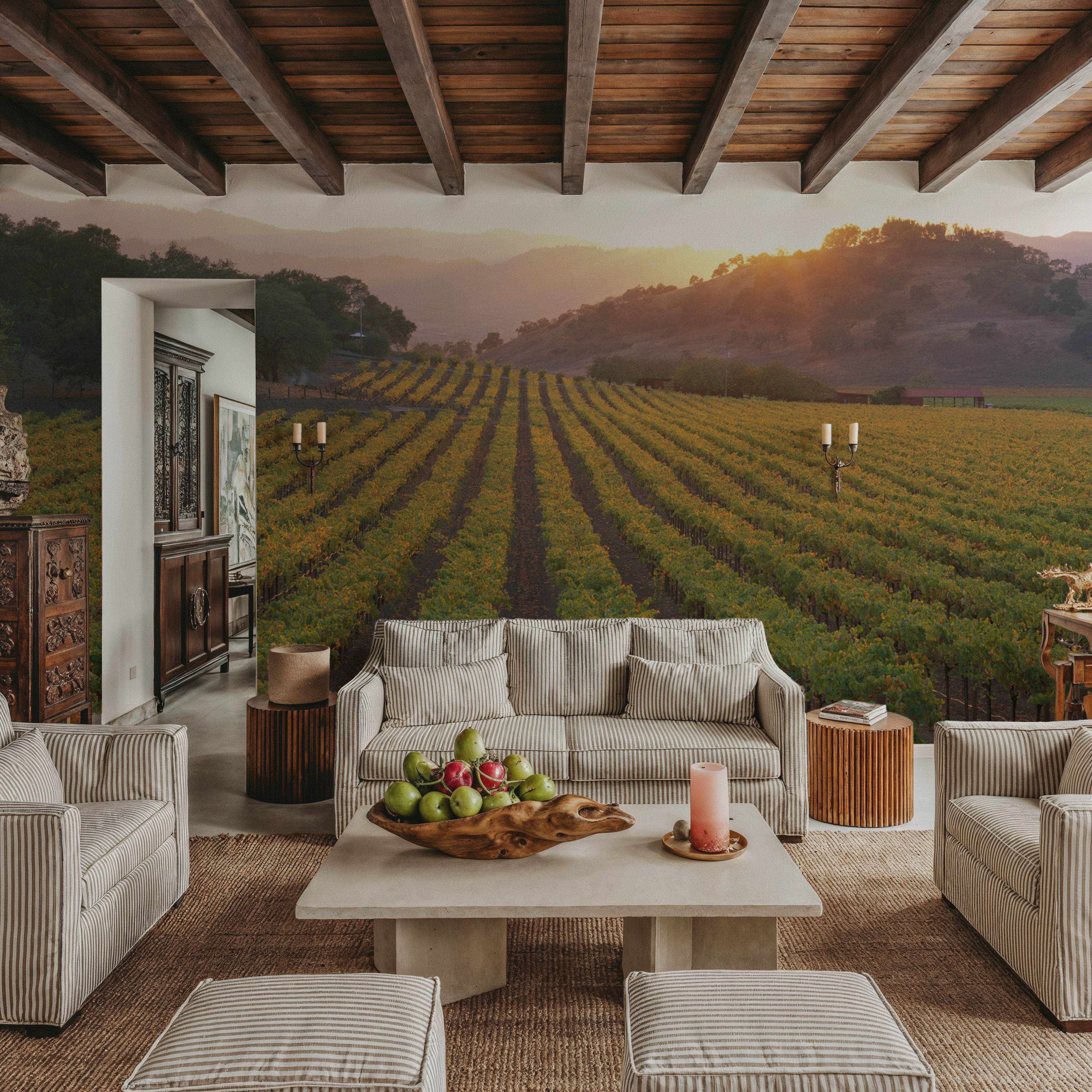 Napa Sunset