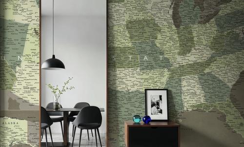 US Map Detailed - Camo