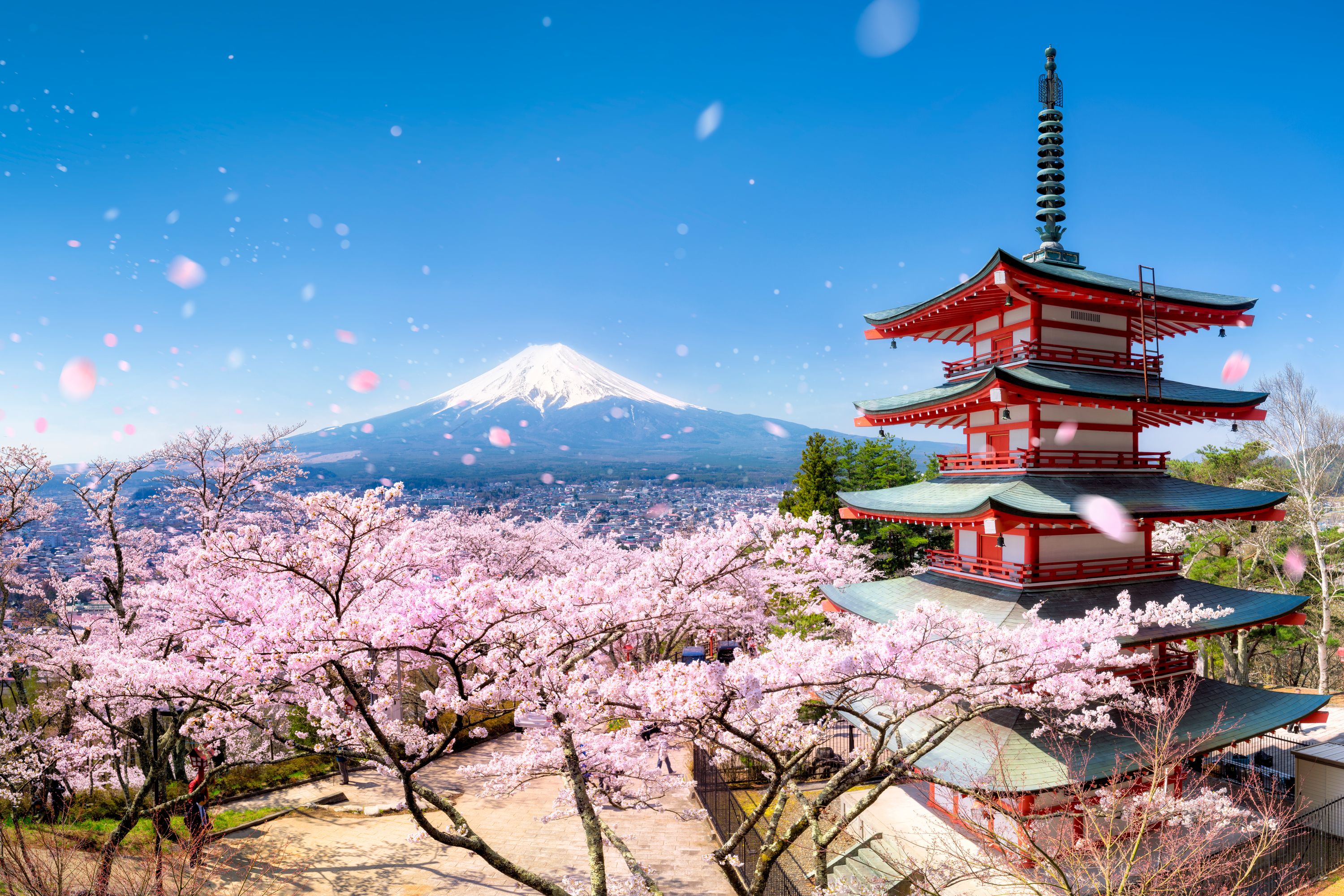 A mural design with photo of Chureito Pagoda