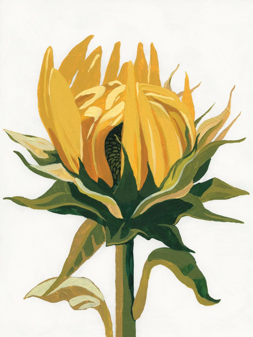 September Sunflowers I
