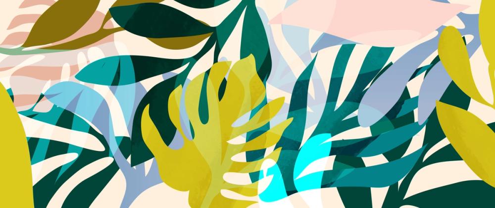 Popping Monstera Leaves